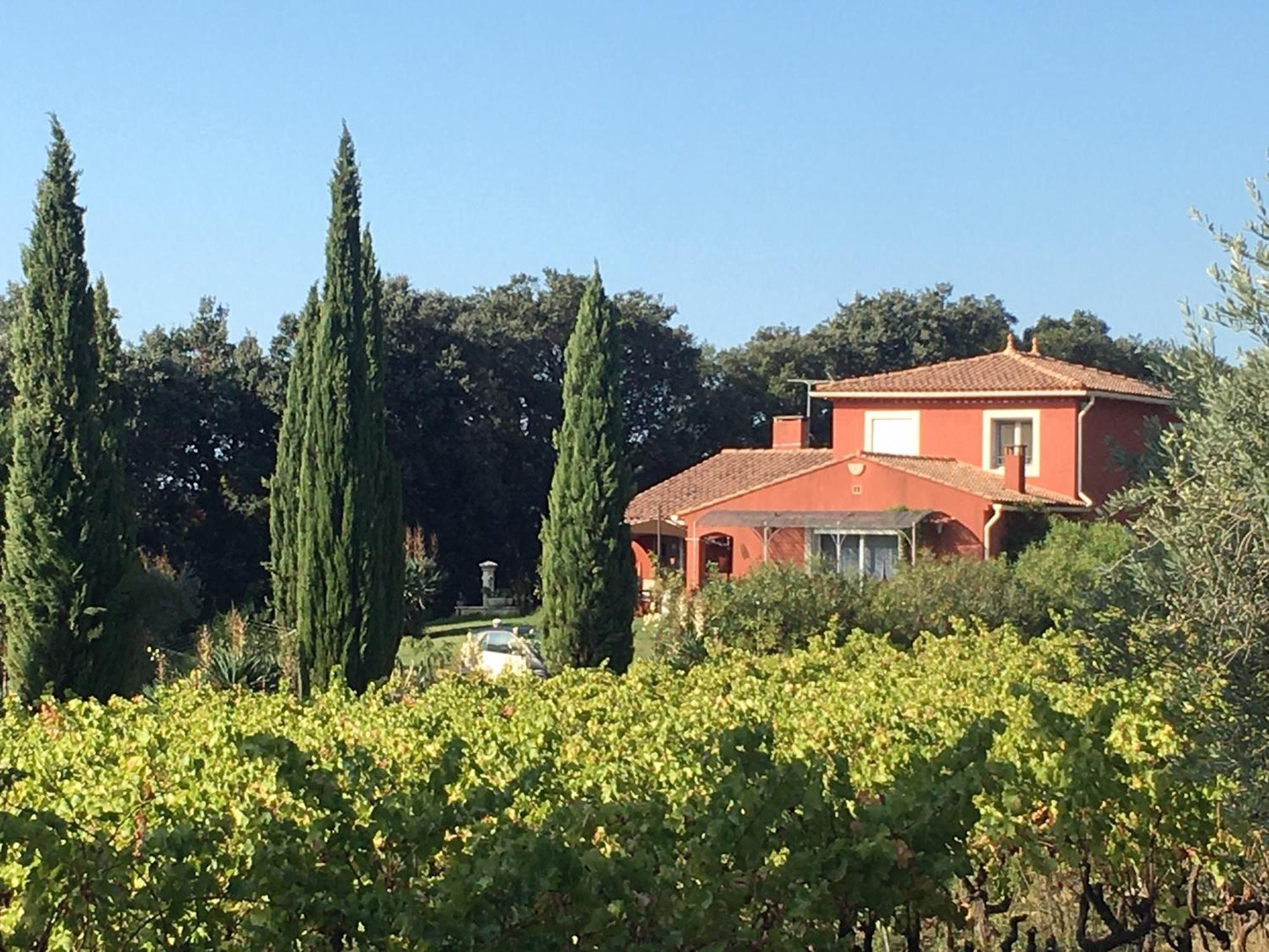 Domaine Des Lavarines Morieres-les-Avignon Dış mekan fotoğraf